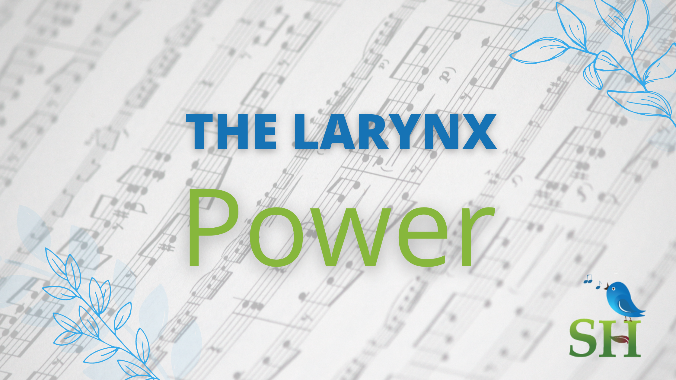 You are currently viewing The larynx: Power